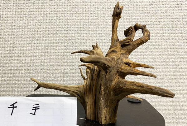 流木アート Driftwood Art Tohei Moritani 森谷東平
