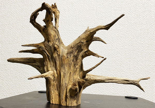流木アート Driftwood Art Tohei Moritani 森谷東平