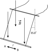 Description: Macintosh HD:Users:tohei:Documents:*G_Figures:4_Magnetism:II-234_RodLevitation3.tif