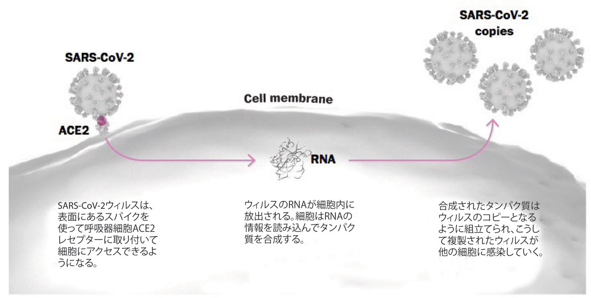 fig3